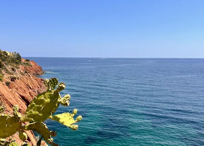 Cap Neree By Terrys Homes Apartment *